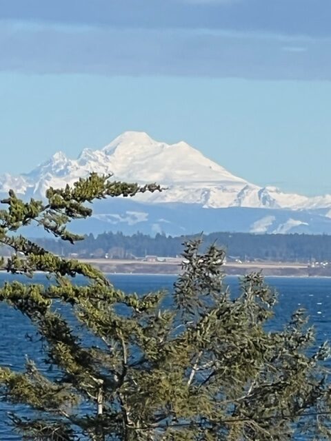 Mt. Baker, water, tree branches