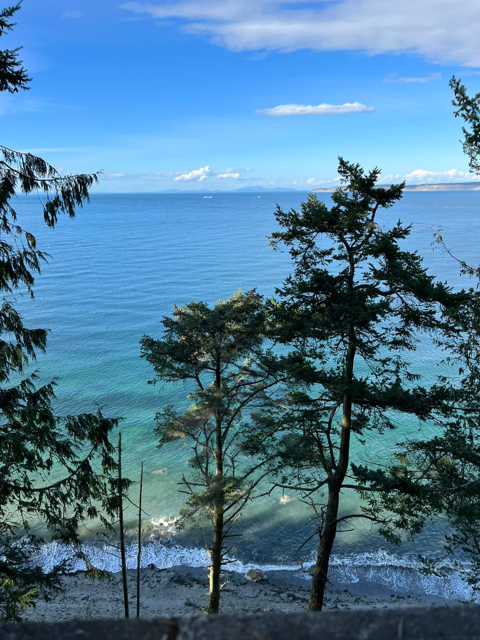 Trees, water, Salish Sea